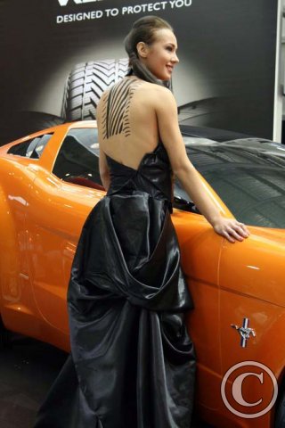 Hot_Car_Show_Babes_Girls (31)